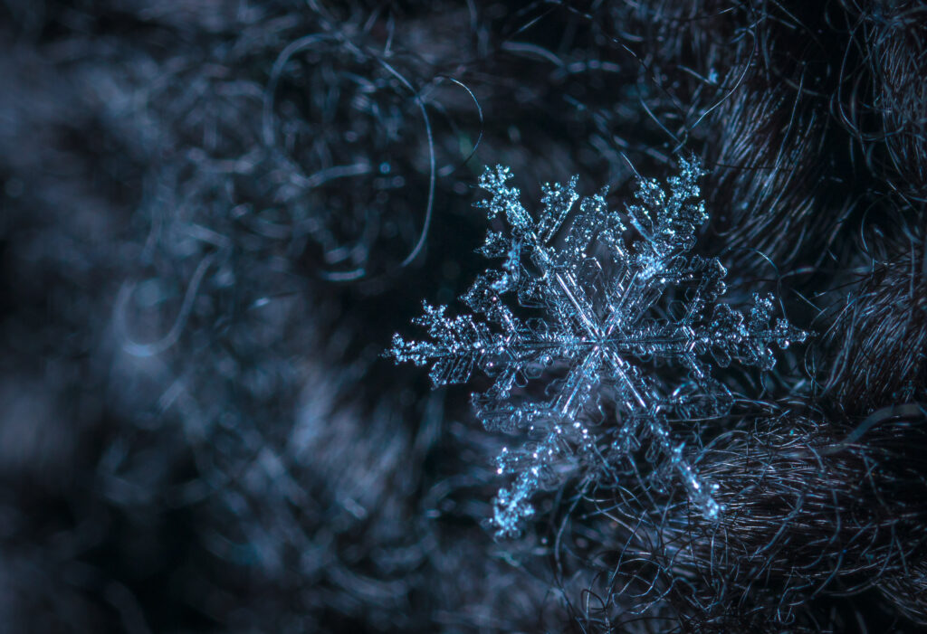 Intricate Snowflake Close-Up: Icy Patterns on Dark Wallpaper Background