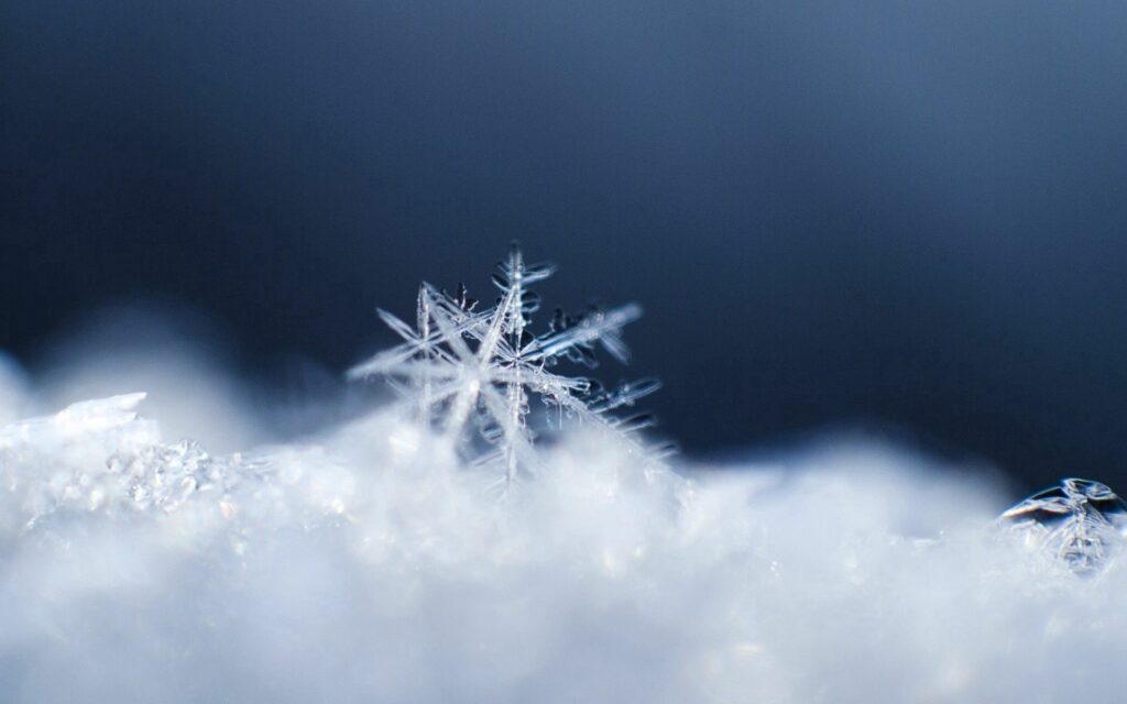 Delicate Snowflake Close-Up: Intricate Icy Patterns Wallpaper