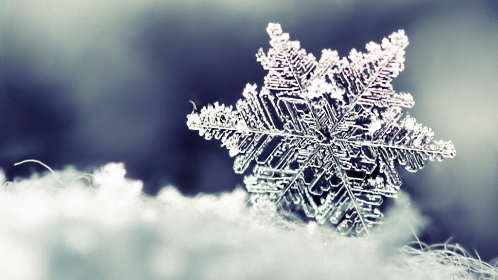 Intricate Snowflake Close-Up Wallpaper on Soft Snowy Background