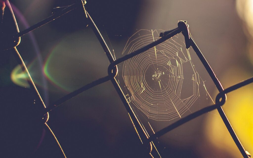 Serene Spider Web Wallpaper: Intricate Design on Rusty Fence