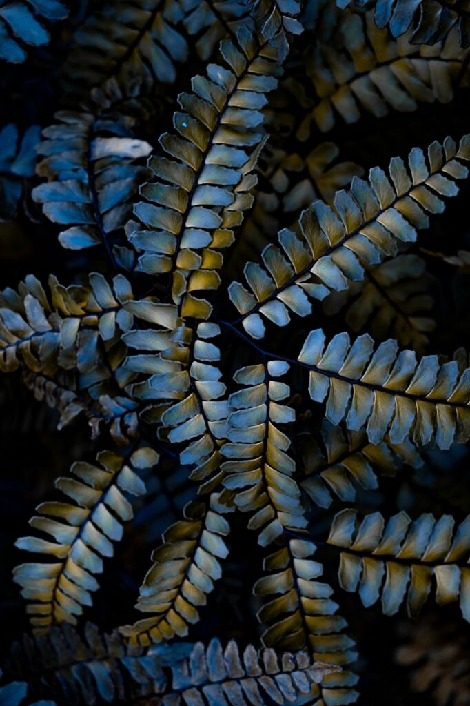 Intricate Textured Leaves: Nature's Detailed Patterns Wallpaper