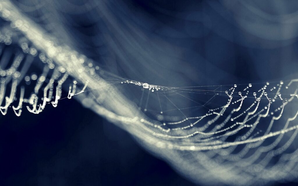 Mesmerizing Web Wallpaper: Delicate Droplets & Illuminated Shapes