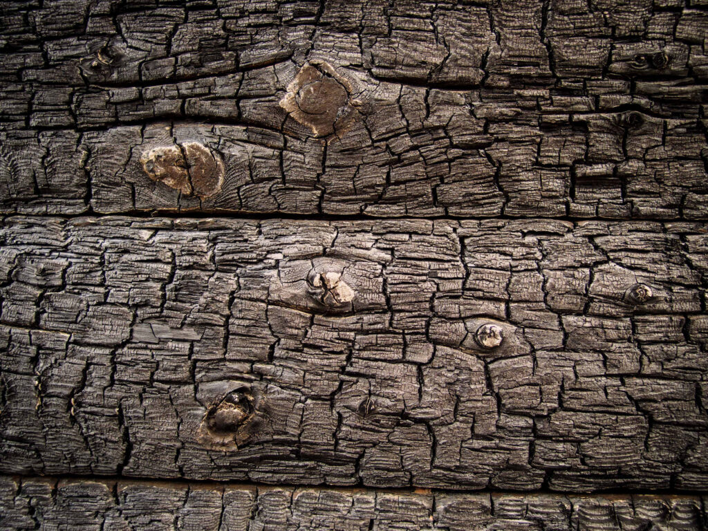 Intricate Natural Wood Wallpaper: Up-Close Textured Patterns