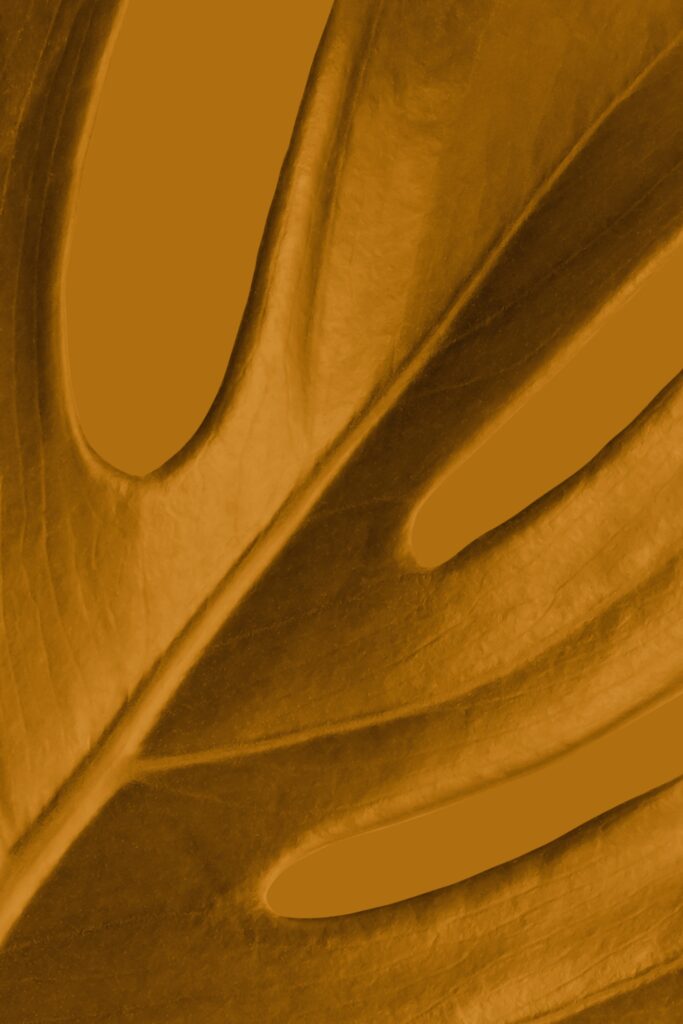 Macro Close-Up of a Yellow Leaf: Intricate Textures & Veins Wallpaper