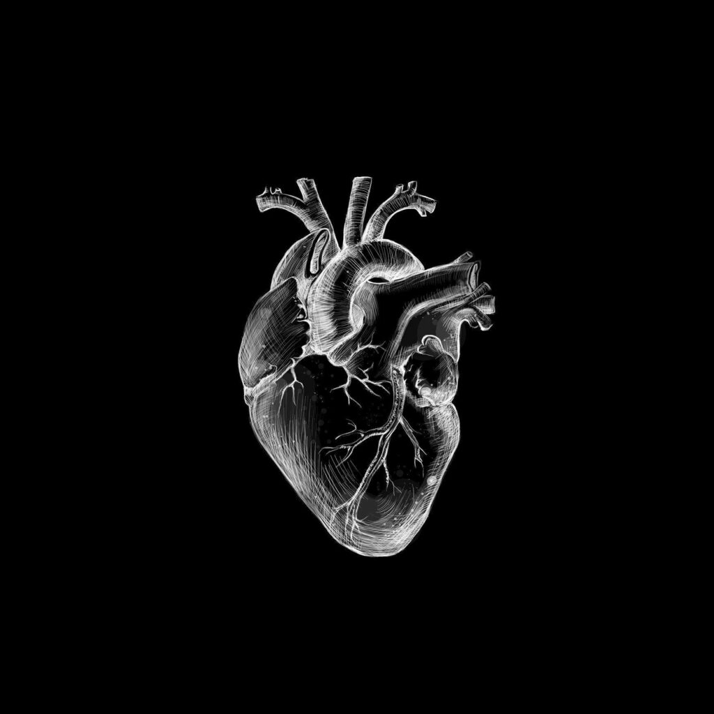Dark Beauty: The Intricate Anatomy of a Black Heart in Aesthetic Wallpaper