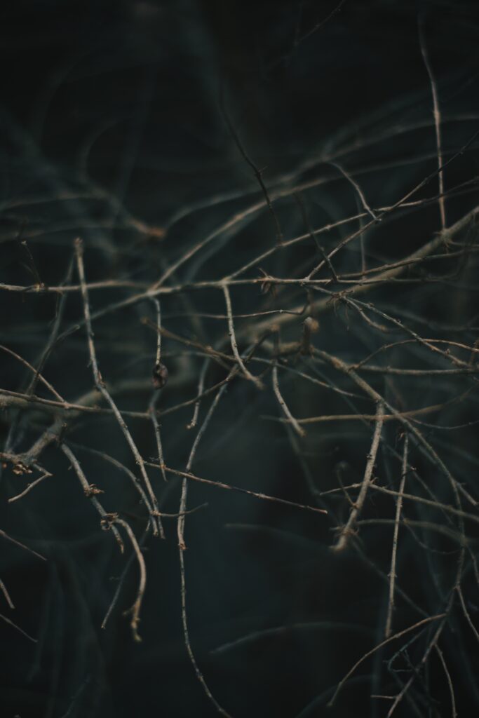Intricate Tangled Branches: Moody Gray Wallpaper Background