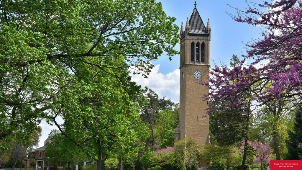 Campanile Iowa State University clock tower with spring trees and blue sky campus wallpaper background