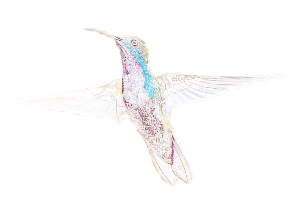 Iridescent Hummingbird Wallpaper: Vibrant Mid-Flight Design