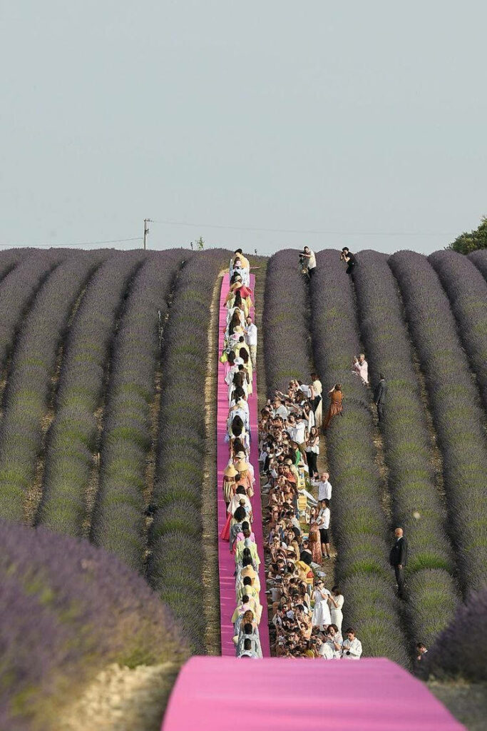Models walk vibrant pink runway through blooming lavender fields showcasing Jacquemus SS21 designs Wallpaper