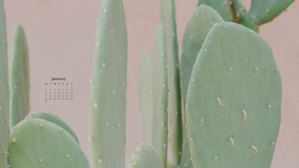 January 2022 calendar wallpaper with pale green cactus pads and soft pastel background textures