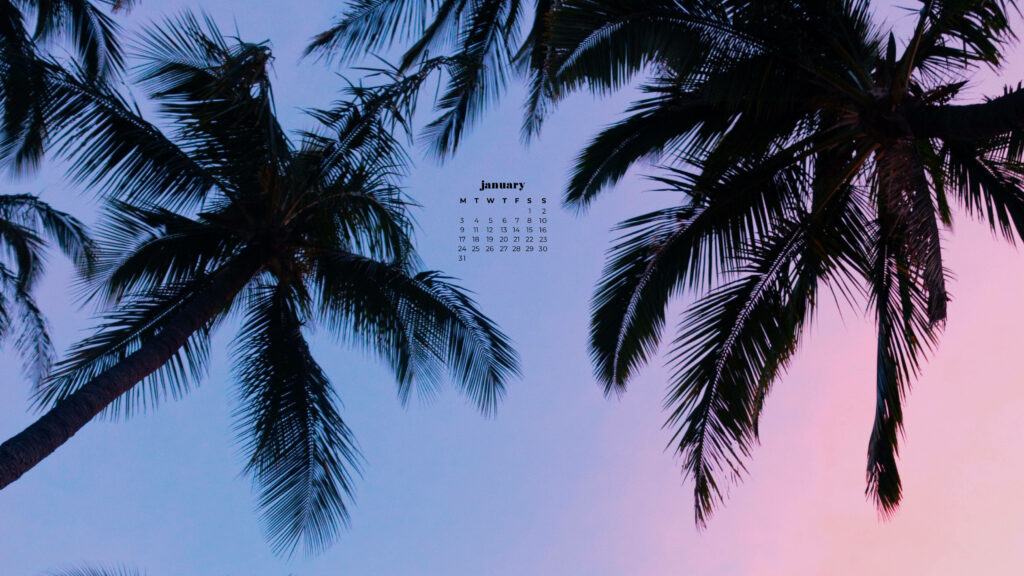January 2022 calendar with palm tree silhouettes and pink blue tropical sky background wallpaper