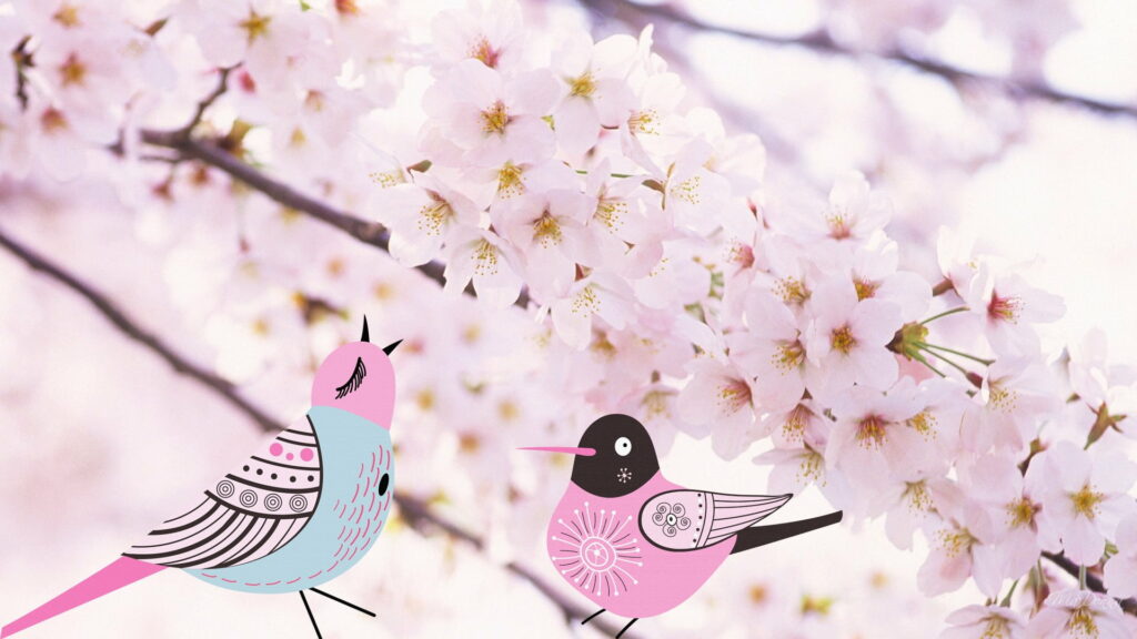 Pink Sakura Bliss: Majestic Blossoms and Feathered Artistry in Springtime Japan - A Captivating HD Wallpaper of Pink Birds and Blossoms