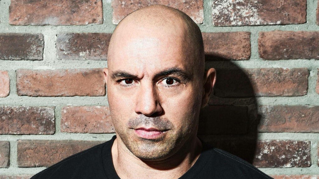 Joe Rogan leaning on brick wall intense confident look podcast host wallpaper background