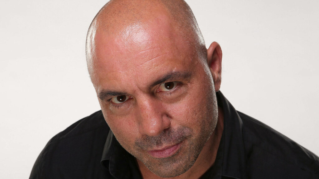 Joe Rogan intense stare portrait plain background bold captivating podcast wallpaper image