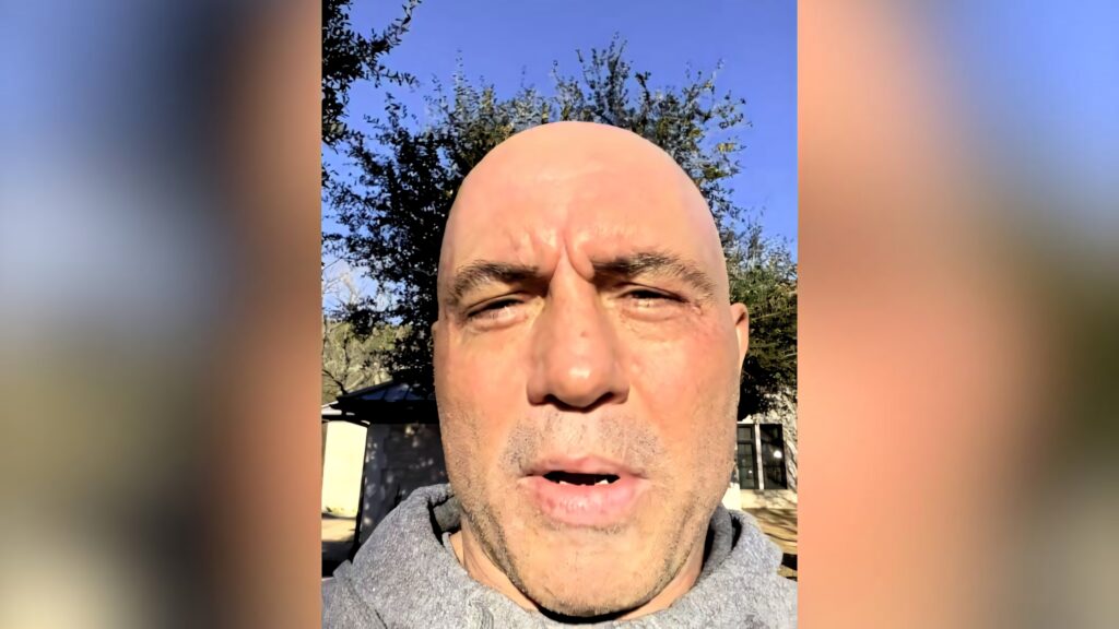 Joe Rogan hosting podcast outdoors walking under clear blue sky with trees natural background Wallpaper