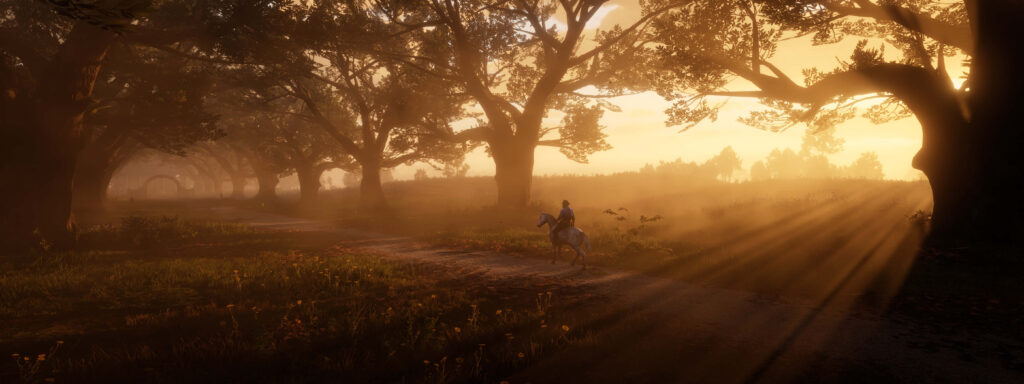 Path to Tranquility: Capturing Nature's Harmonious Journey Wallpaper