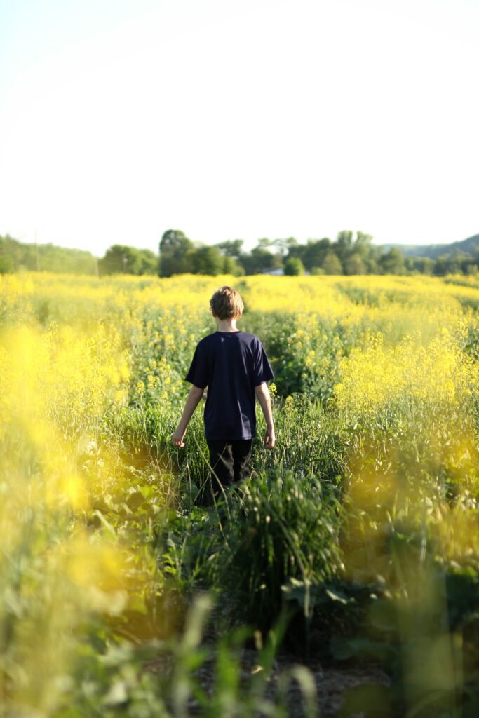 Child walking through tall yellow summer flowers under clear sky joyful exploration scene Wallpaper