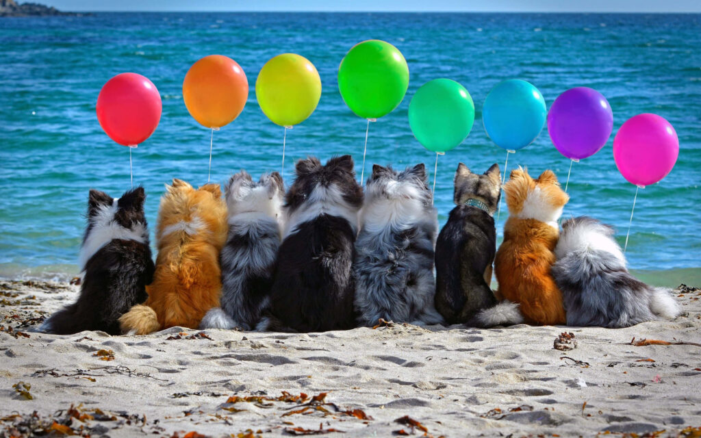 Joyful Dogs on Beach with Colorful Balloons: A Vibrant Scene Wallpaper