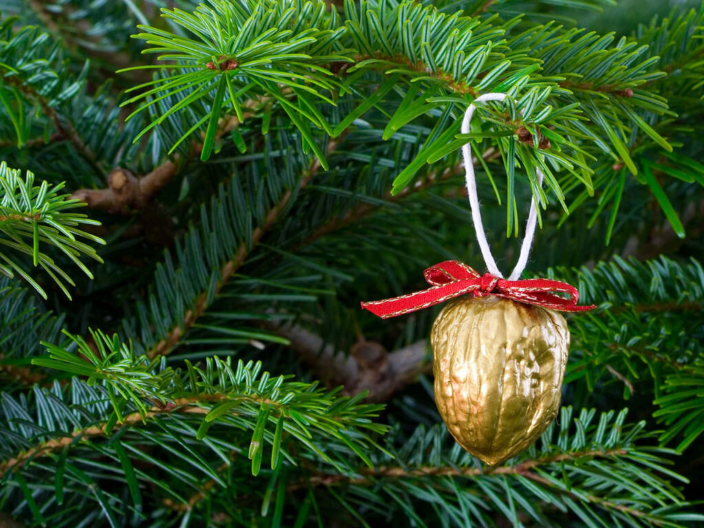 Joyful Holiday Wallpaper: Golden Walnut Ornament on Green Fir