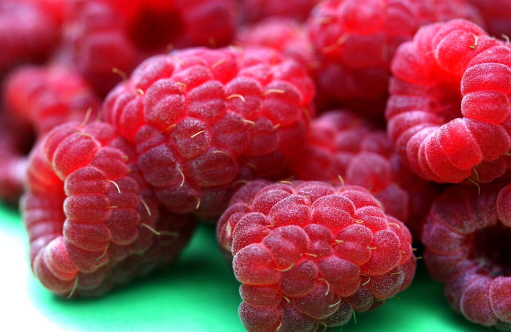 Juicy Red Raspberries Macro Shot - Vibrant Wallpaper Background