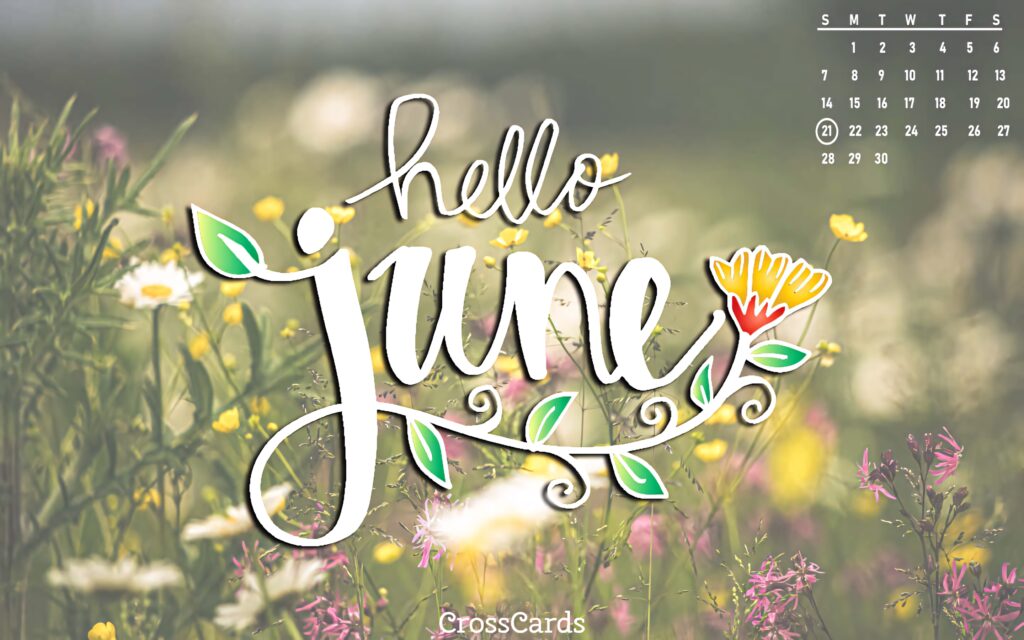Cheerful June calendar wallpaper with hand-lettered text and vibrant pastel wildflowers background