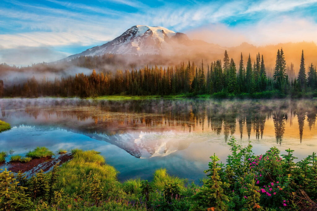 Mount Rainier reflecting on calm Reflection Lakes at golden hour with wildflowers and forests Wallpaper