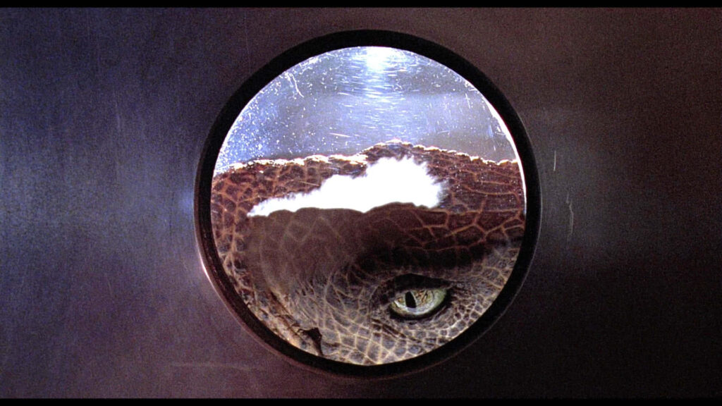 Thrilling Jurassic Park Velociraptor Wallpaper Background