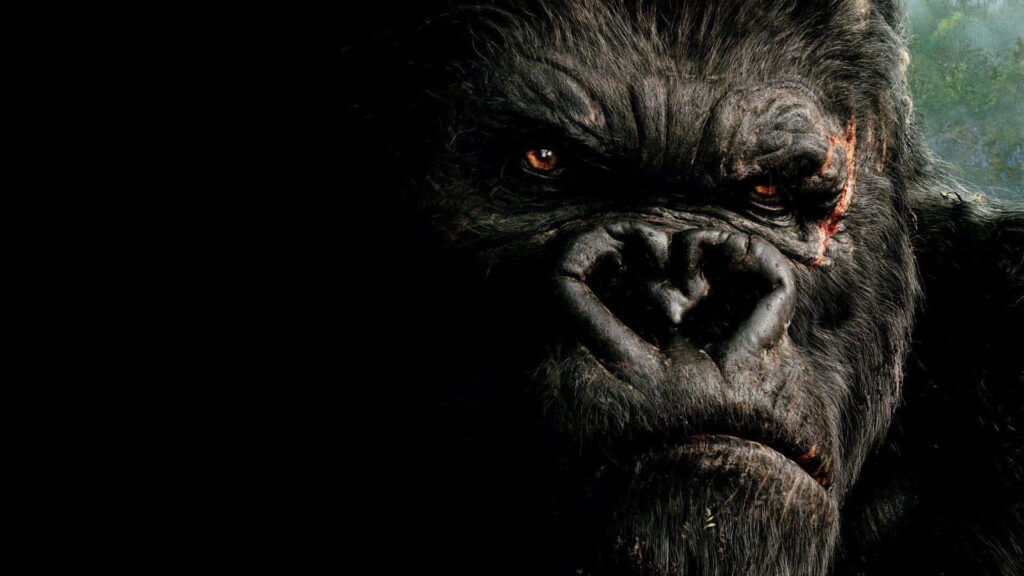 Close-up of King Kong’s fierce face with intense expression on dark dramatic background wallpaper