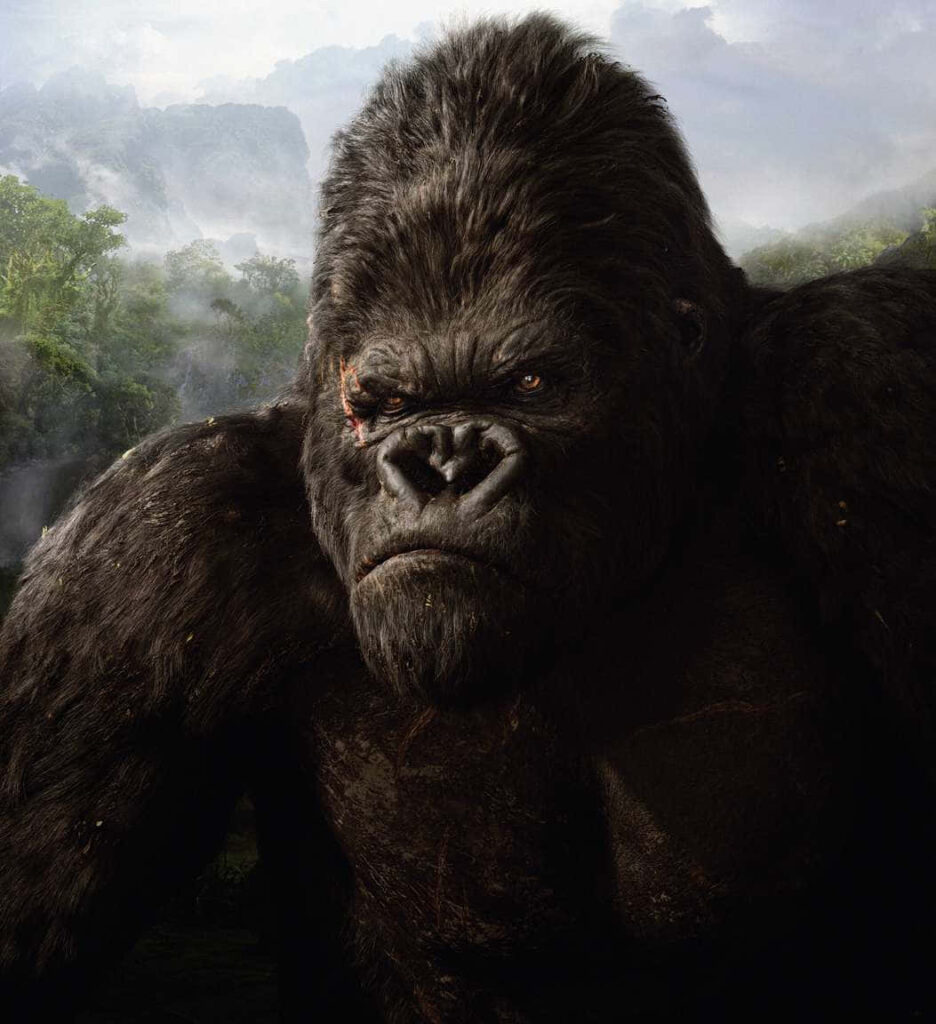 Portrait of powerful King Kong in misty jungle backdrop dramatic wallpaper background