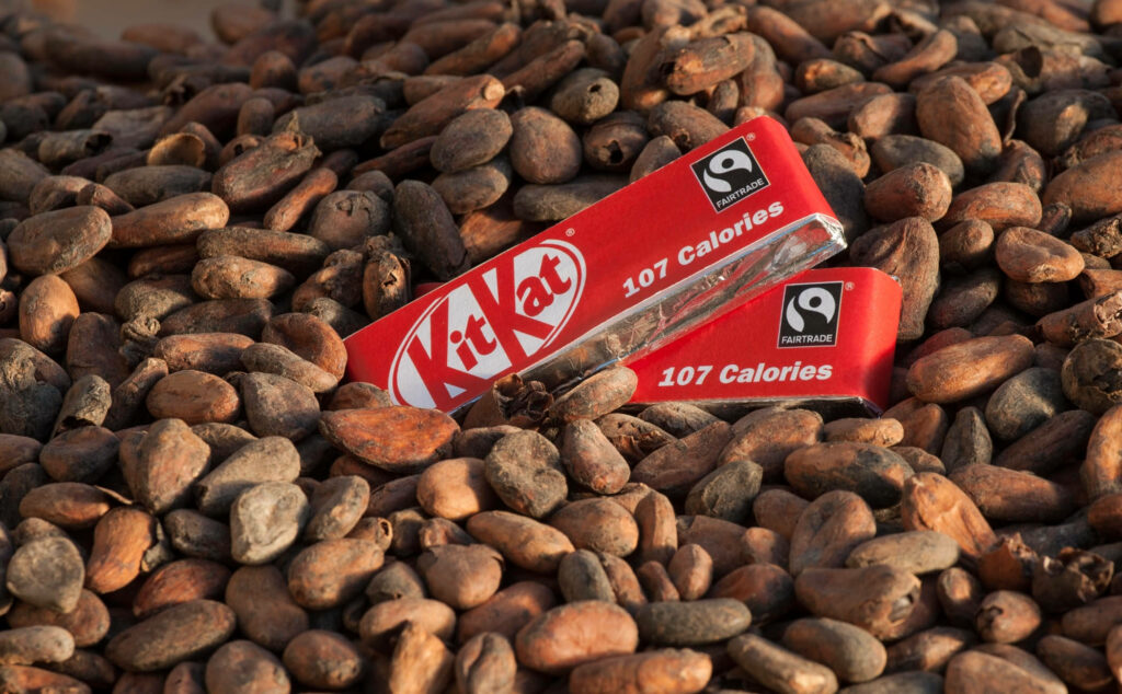 Kit Kat Bars on Cacao Seeds: Chocolate's Raw Ingredient Connection Wallpaper