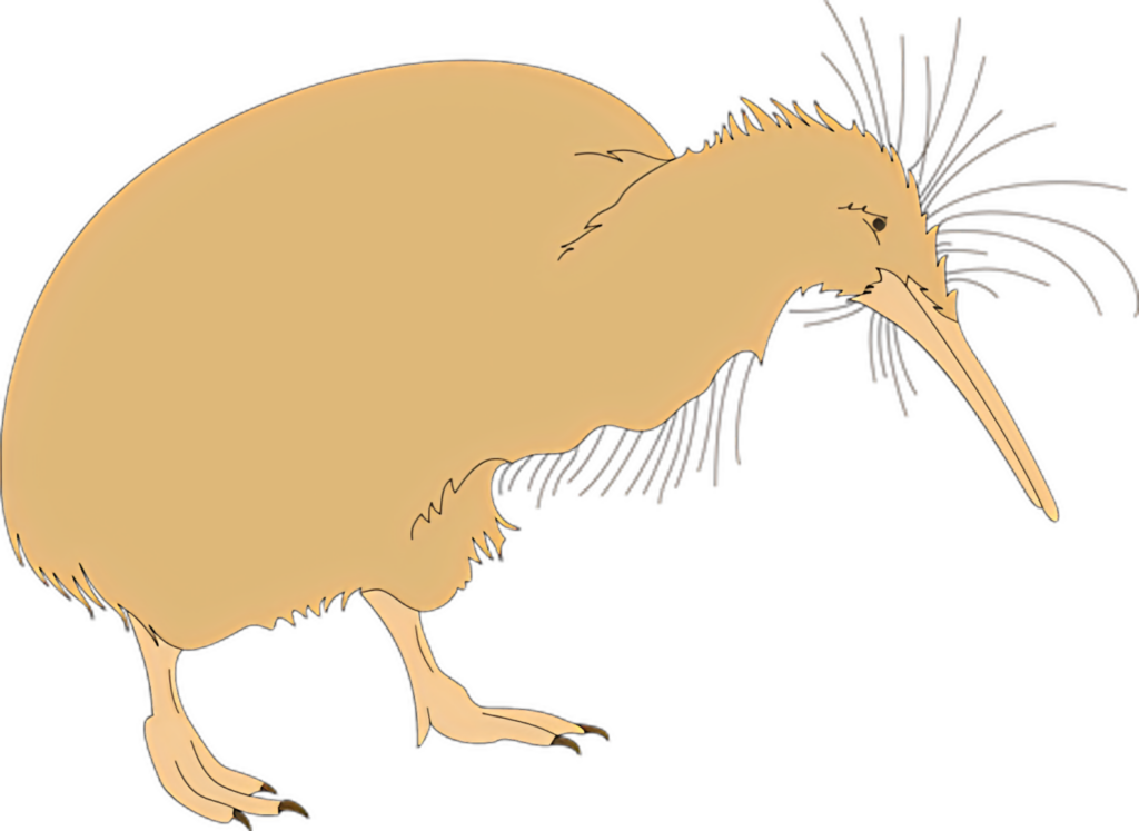 Kiwi Bird Silhouette Wallpaper: Unique New Zealand Nature Design