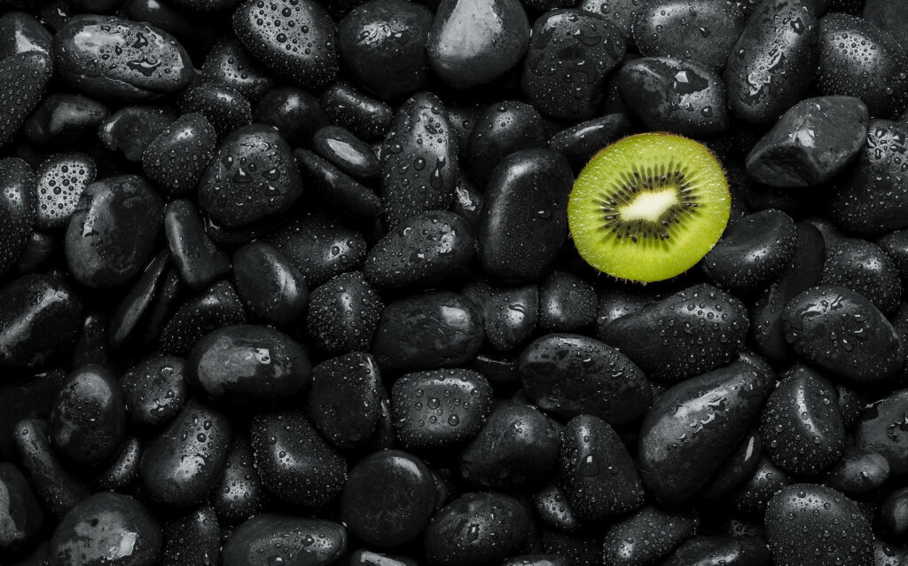 Vibrant green kiwi slice on glossy black river rocks with glistening water droplets nature wallpaper