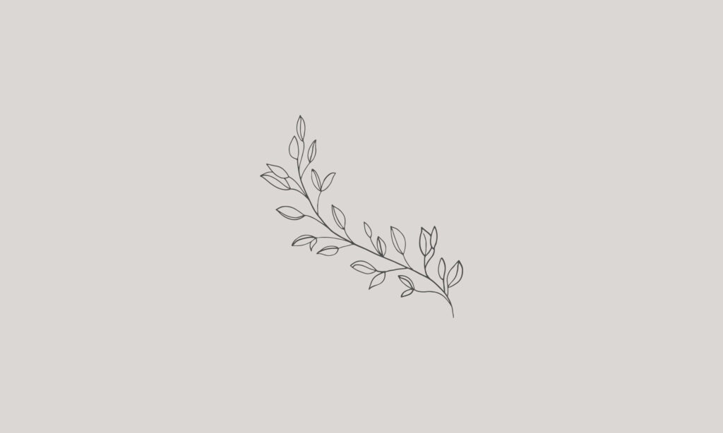 Serenity in Simplicity: Graceful Leaf Branch Adorns Laptop's Minimalist Aura Wallpaper