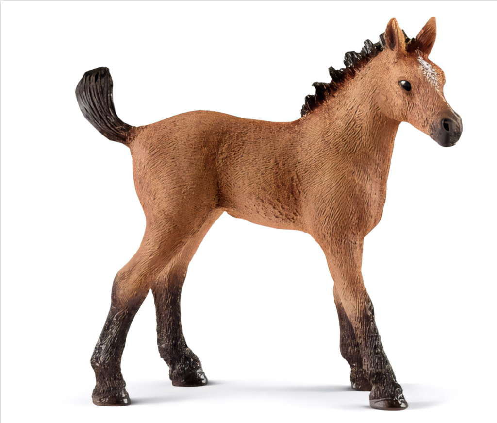 Elegant Brown Foal PNG Wallpaper for Equestrian Designs