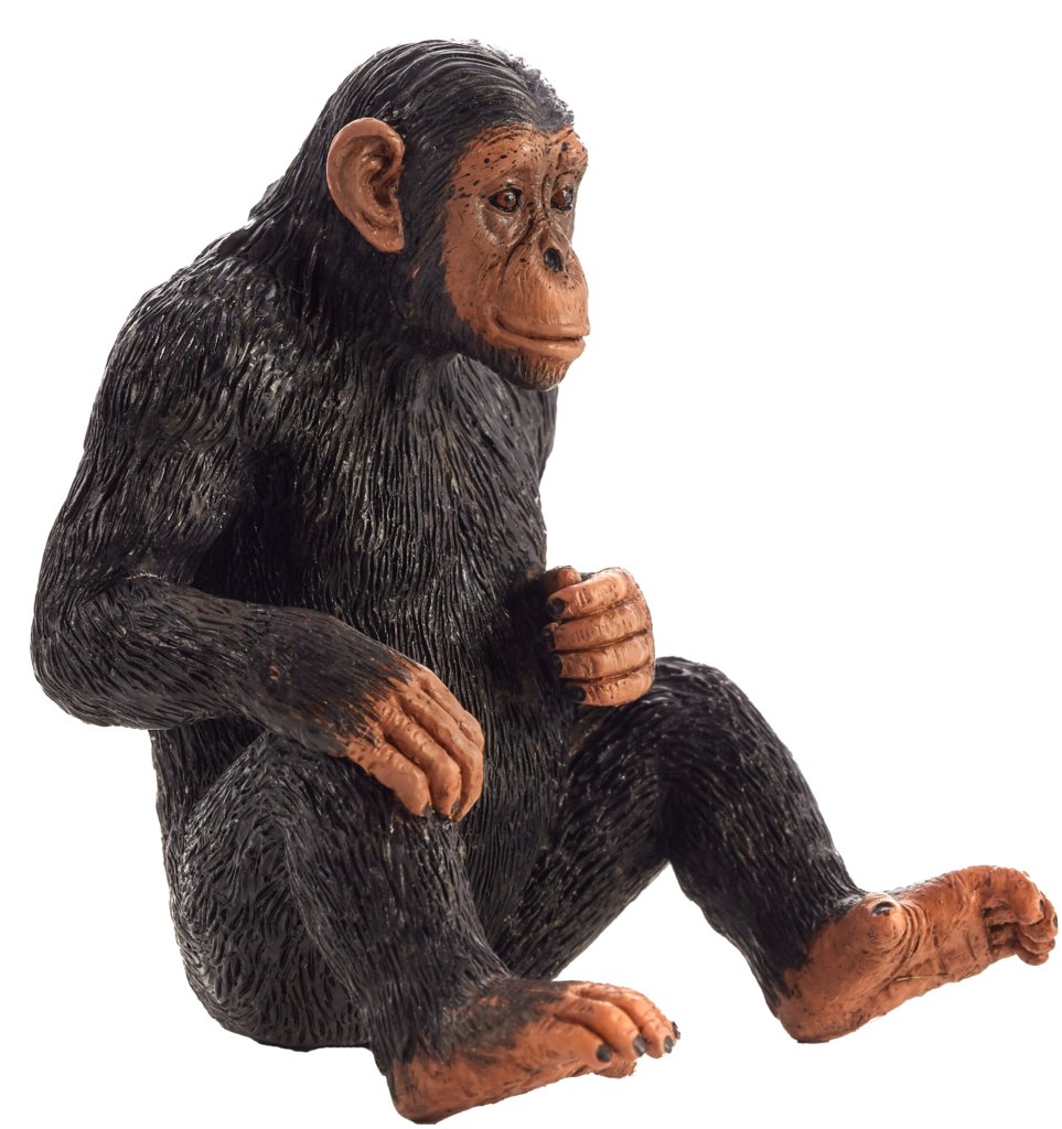 Realistic Chimpanzee Figurine Wallpaper with Transparent Background