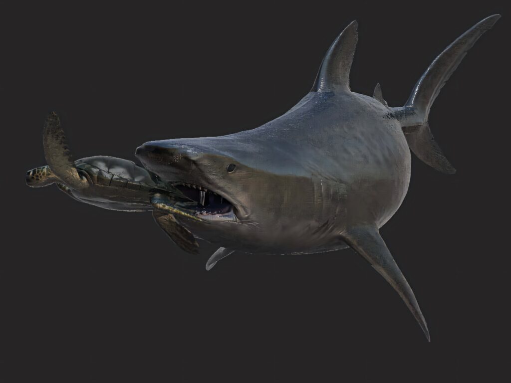 Lifelike copper shark catching sea turtle dramatic underwater scene dark dynamic wallpaper