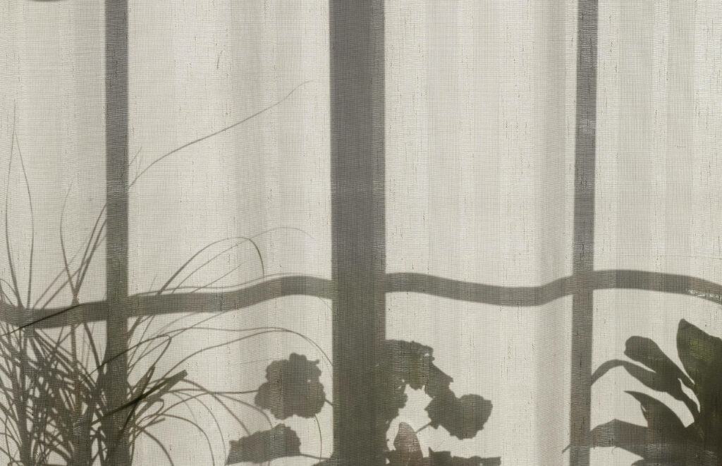 Delicate Plant Silhouettes Wallpaper - Light Academia Aesthetic Background