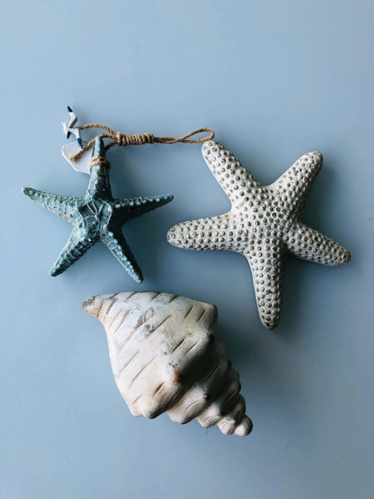 Light Blue Seashell & Starfish Wallpaper Background – Coastal Aesthetic