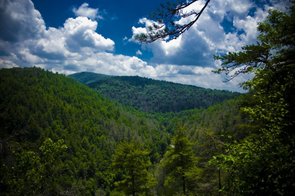 Aerial view of lush tree-covered mountains at Linville Falls North Carolina under blue sky Wallpaper