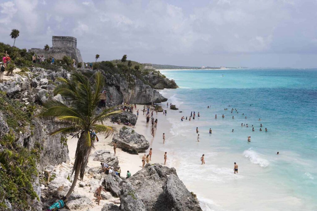 Vibrant Beach Scene: Azure Waves & Tropical Palm at Coastal Getaway Wallpaper