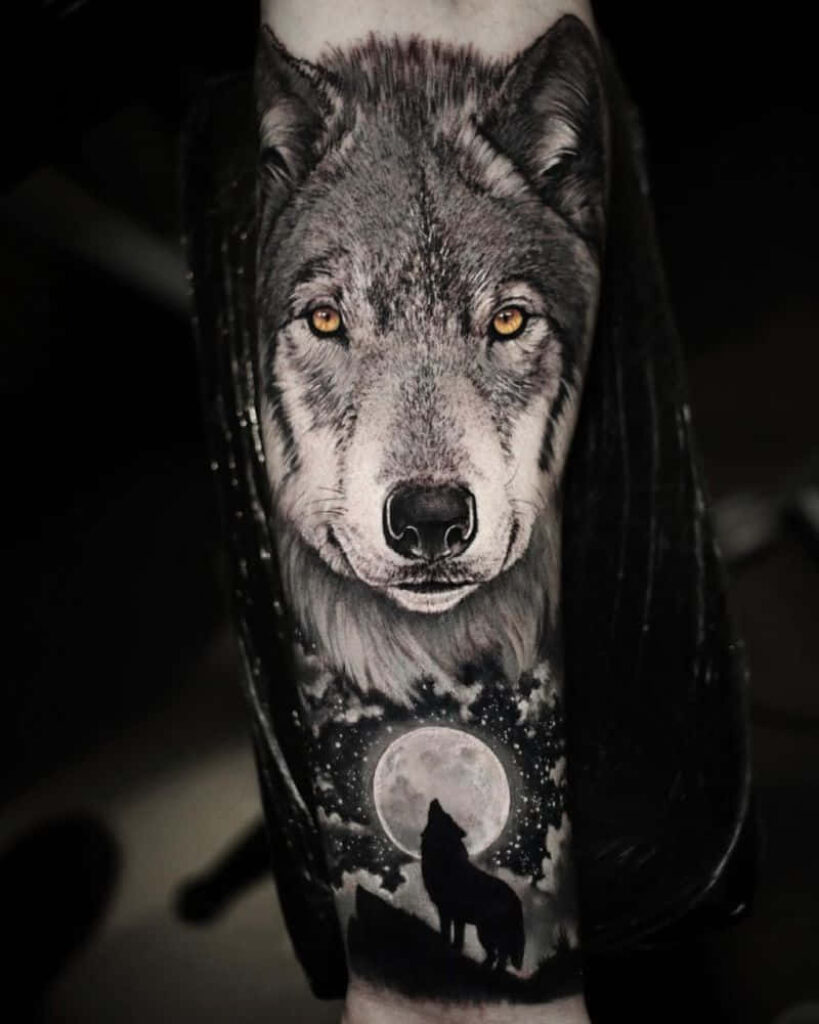 Majestic Gray Wolf Wallpaper: Solitude in Untamed Wilderness