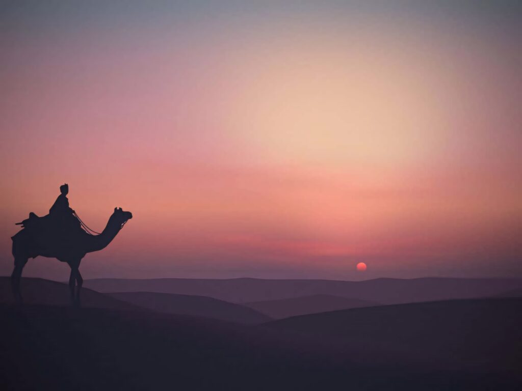 Man riding camel over desert dunes at sunset with pink and purple sky silhouette wallpaper background