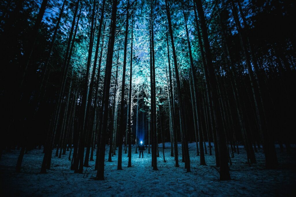 Lone man in snowy night forest with blue light and tall trees creating mysterious atmosphere Wallpaper