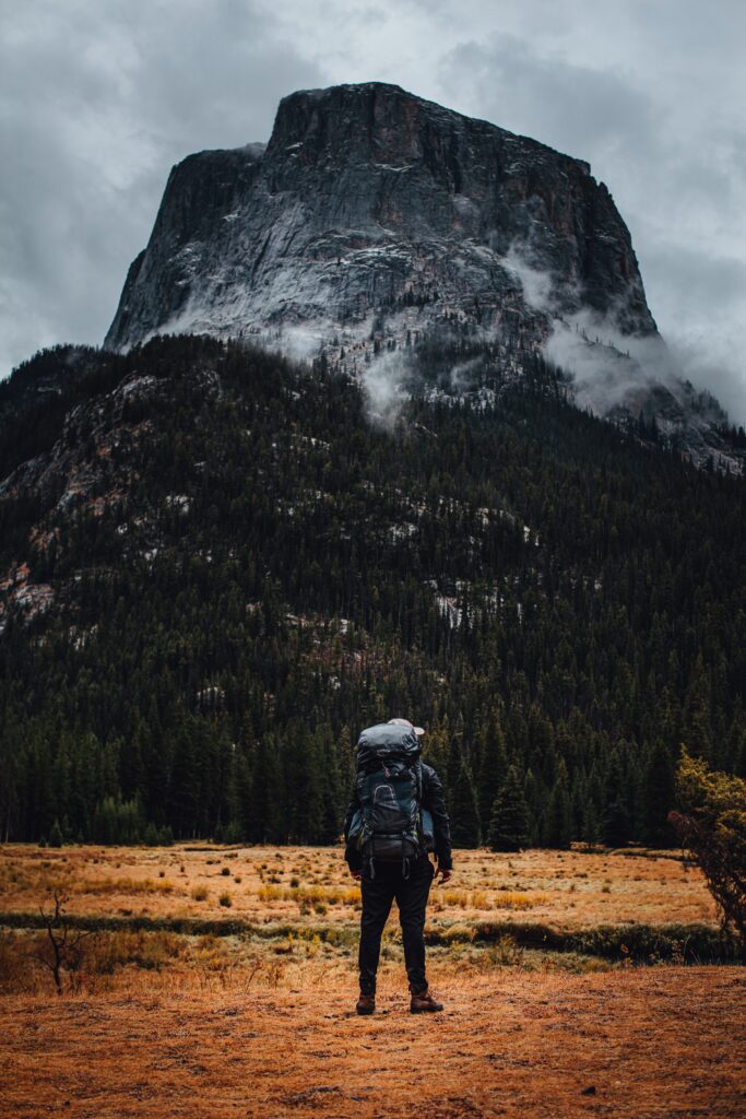 Lone traveler with backpack in golden meadow gazing at misty mountain rugged pine forest background Wallpaper