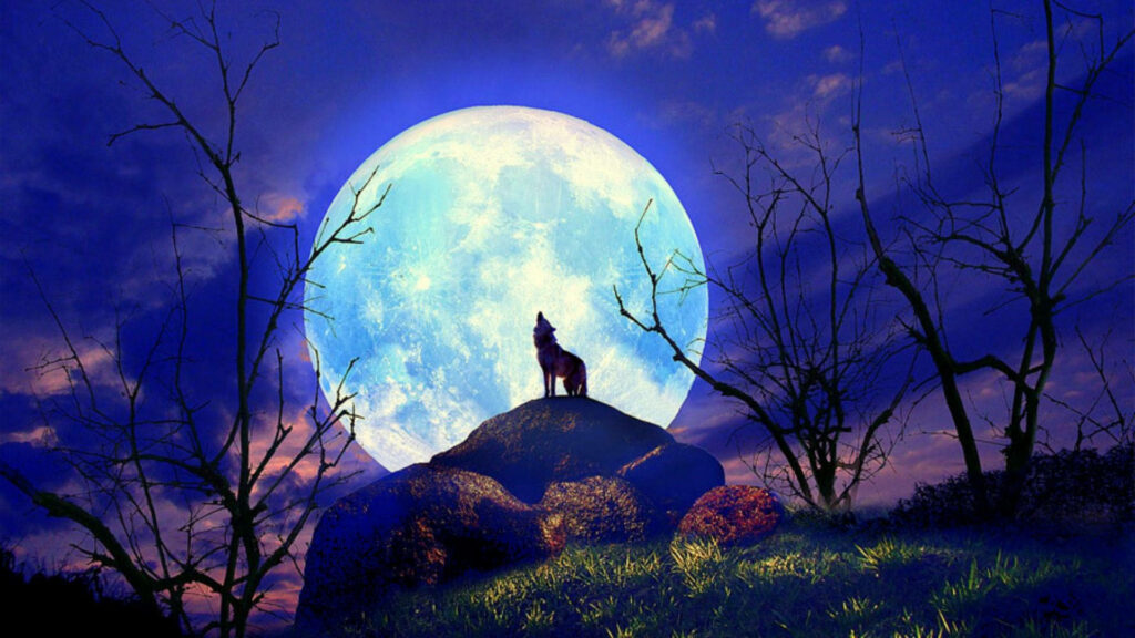 Serene Wolf Howling Wallpaper: Moonlit Rocky Hill & Starry Sky
