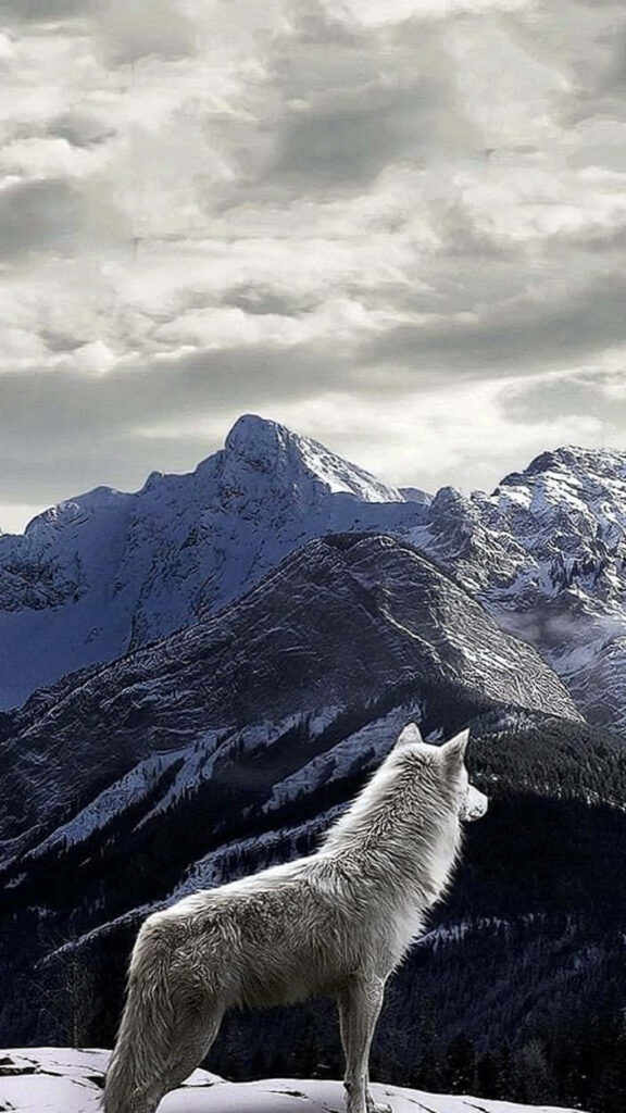 Lone Wolf Wallpaper: Rugged Mountains & Dramatic Sky Background