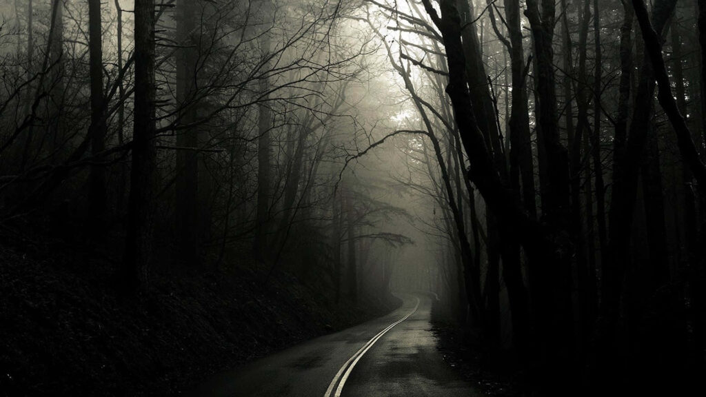 The Haunted Woods: A bone-chilling desktop wallpaper of a spooky, foggy forest