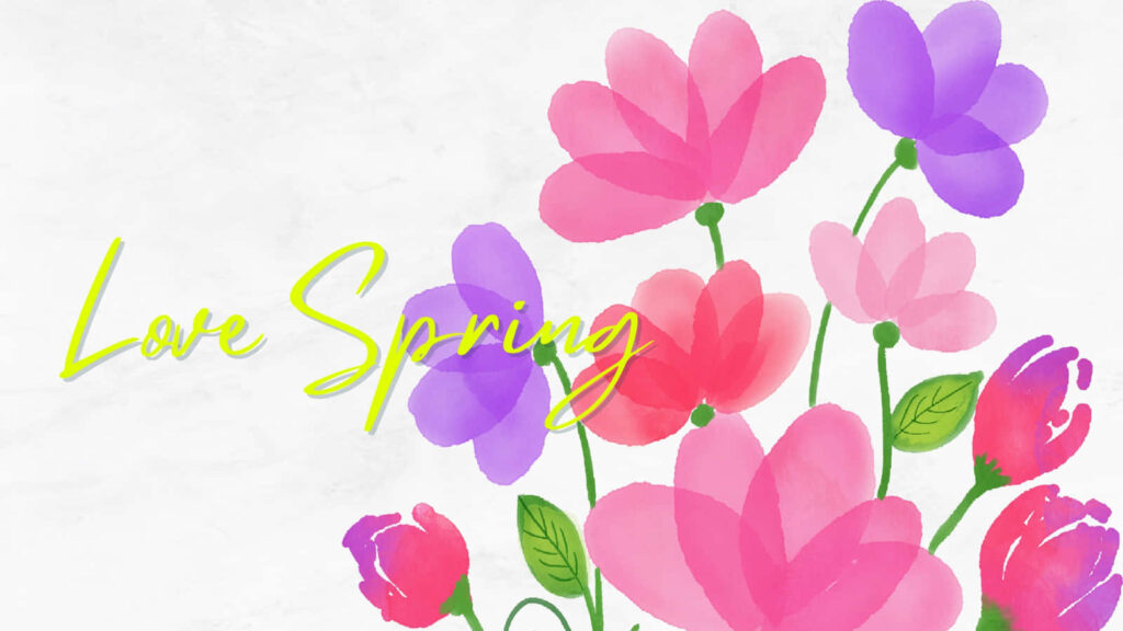 Vibrant Pink & Purple Flower Wallpaper: Love Spring Background