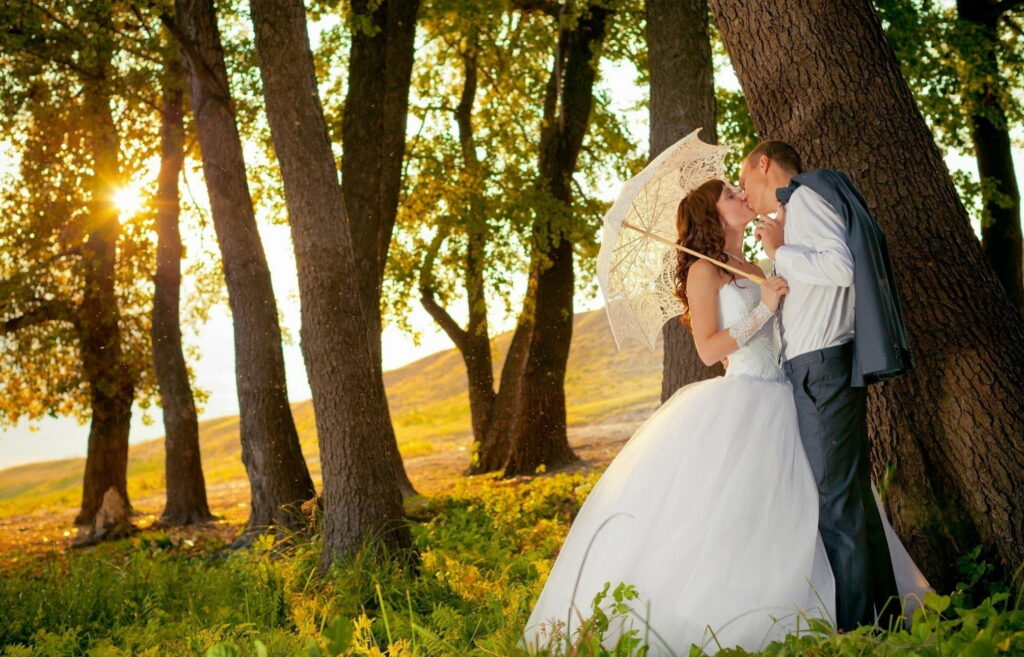 Nature's Wedding Serenade: A Romantic Kiss under Sunlit Tree with Umbrella Wallpaper