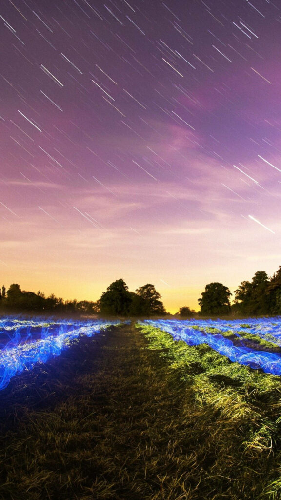 Luminous Euphoria: Mesmerizing 4k Ultra HD Background of a Radiant Blue-Lit Field Wallpaper